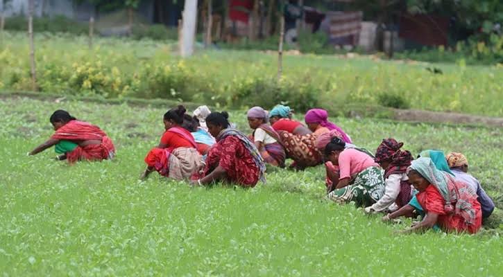 মে দিবসের ভাবনা নেই মোমেনাদের
